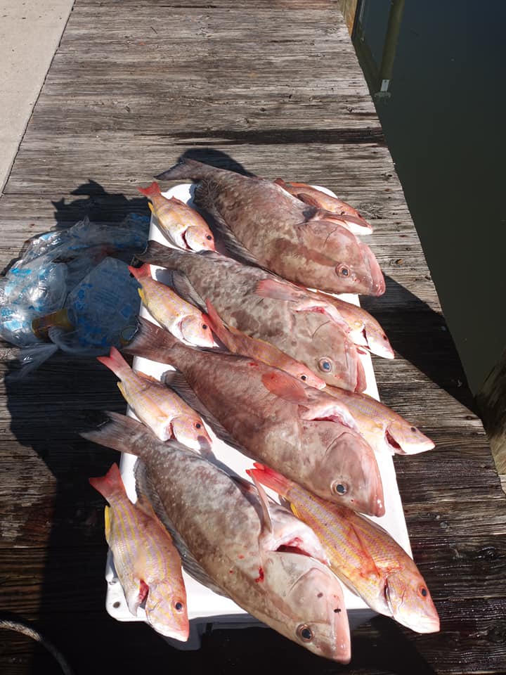 Bayshore Fishing Charters
