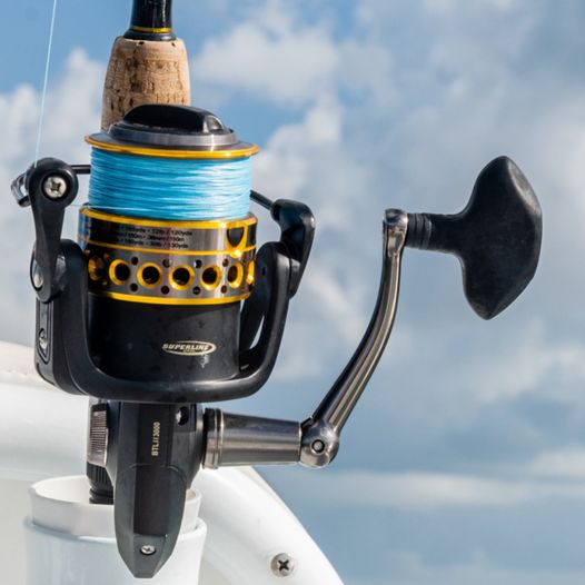 Bayshore Fishing Charters